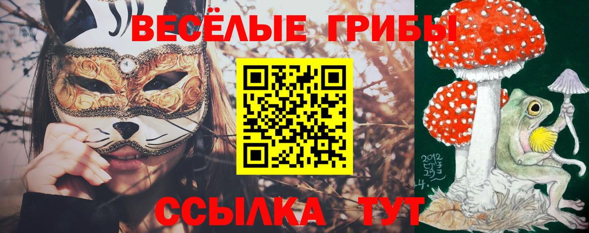 Галлюциногенные грибы ЛСД  Галлюциногенные грибы Magic Shrooms  Вход с VPN  Гусь-Хрустальный 